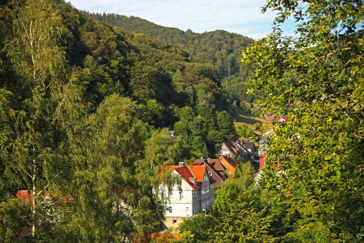 Fewo-Lerbachtal Osterode am Harz Buitenkant foto