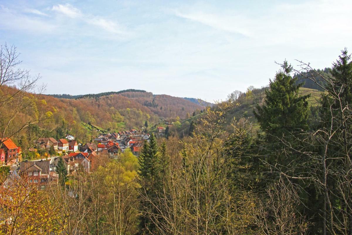 Fewo-Lerbachtal Osterode am Harz Buitenkant foto