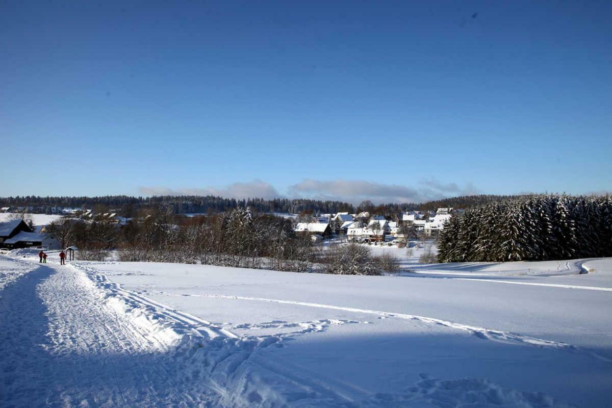 Fewo-Lerbachtal Osterode am Harz Buitenkant foto